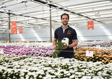 Roy van Kester van Dümmen Orange met de Pina Colada.